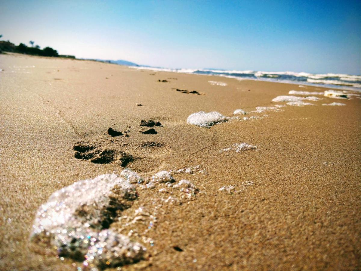 Hello Piles Beach Javier Ngoại thất bức ảnh